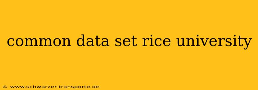 common data set rice university