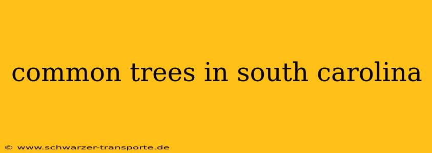 common trees in south carolina