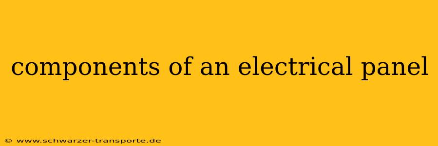 components of an electrical panel