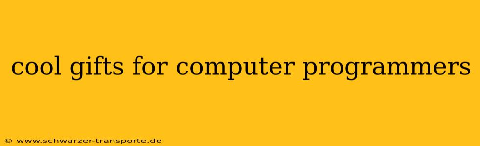 cool gifts for computer programmers