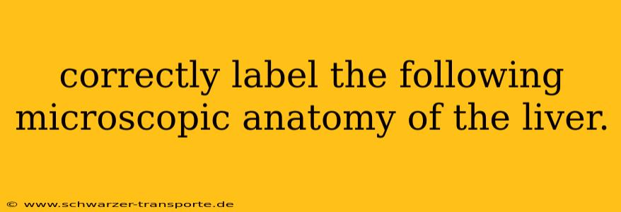 correctly label the following microscopic anatomy of the liver.