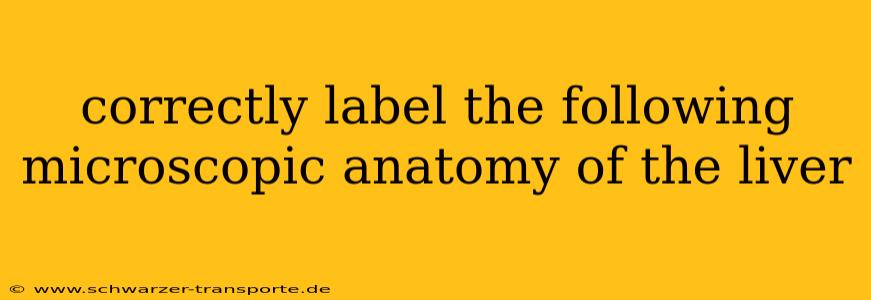 correctly label the following microscopic anatomy of the liver