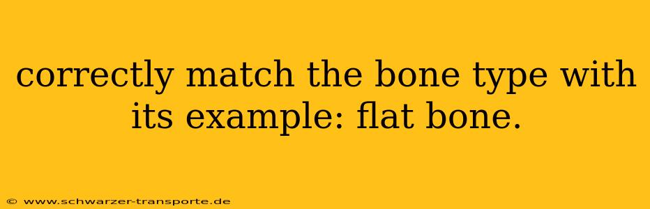 correctly match the bone type with its example: flat bone.