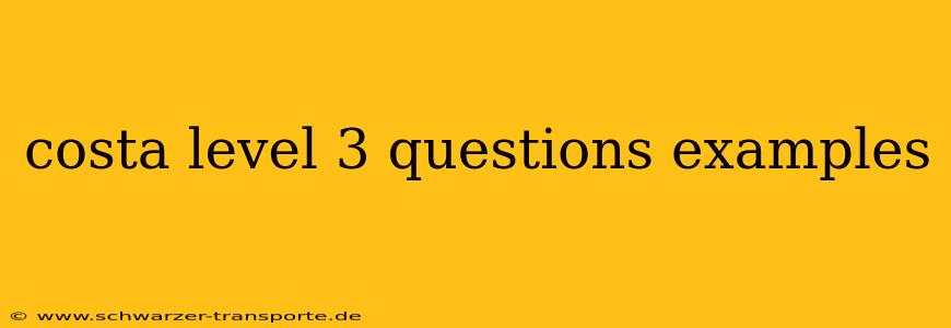 costa level 3 questions examples