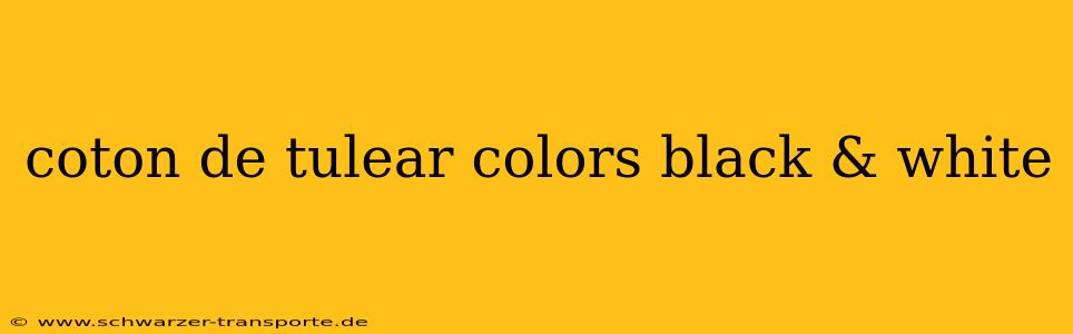 coton de tulear colors black & white