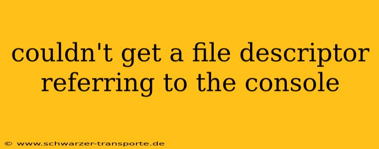 couldn't get a file descriptor referring to the console