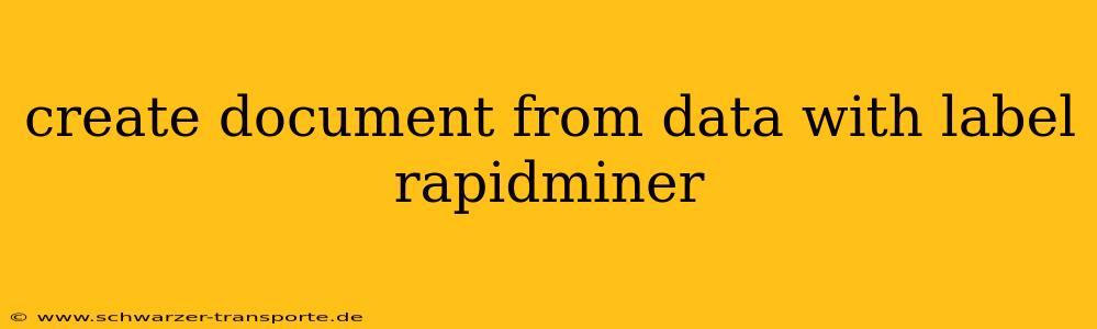 create document from data with label rapidminer
