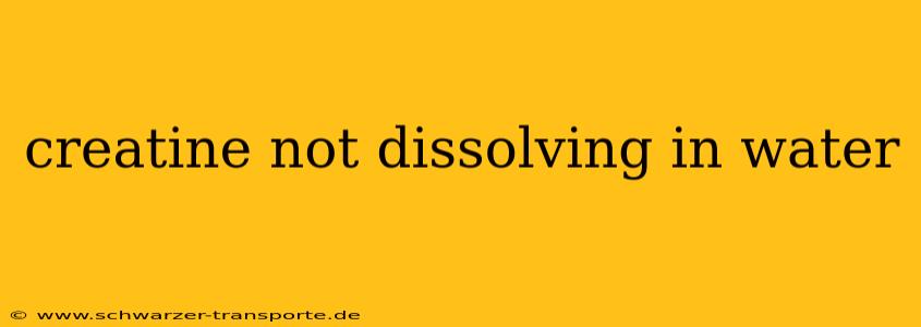 creatine not dissolving in water