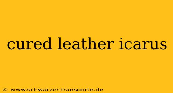 cured leather icarus