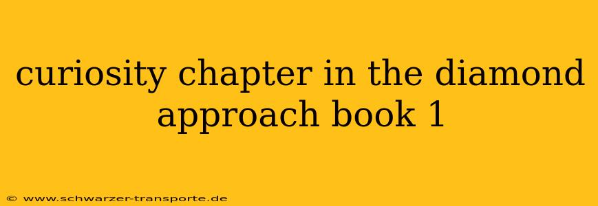 curiosity chapter in the diamond approach book 1