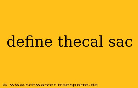 define thecal sac