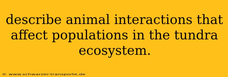 describe animal interactions that affect populations in the tundra ecosystem.