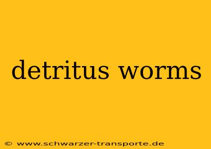 detritus worms
