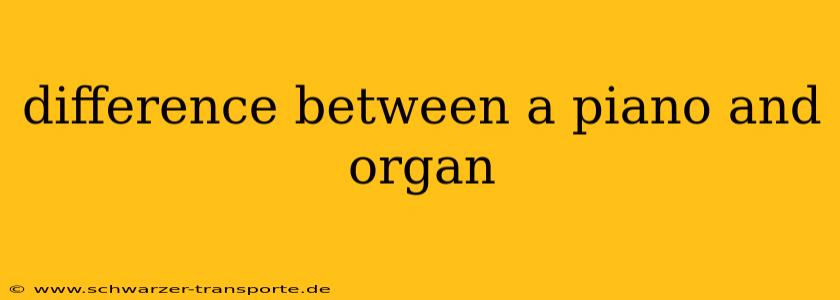 difference between a piano and organ