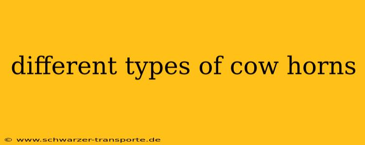 different types of cow horns