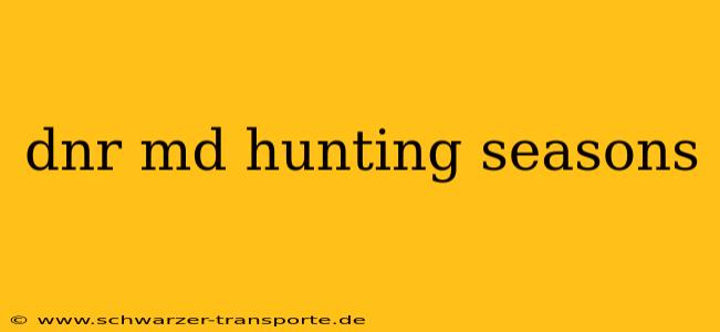 dnr md hunting seasons