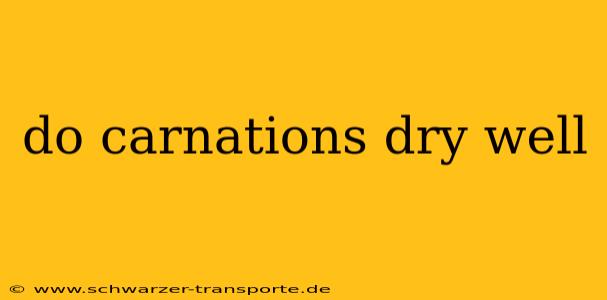 do carnations dry well