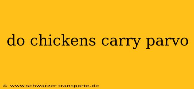 do chickens carry parvo
