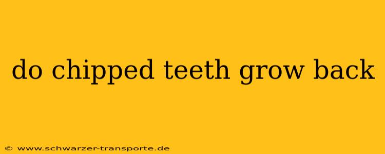 do chipped teeth grow back