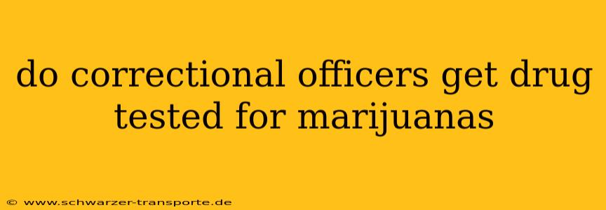 do correctional officers get drug tested for marijuanas