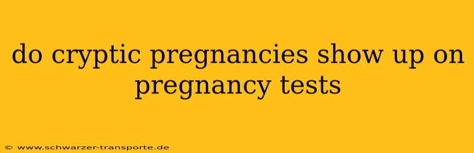 do cryptic pregnancies show up on pregnancy tests