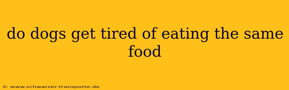 do dogs get tired of eating the same food