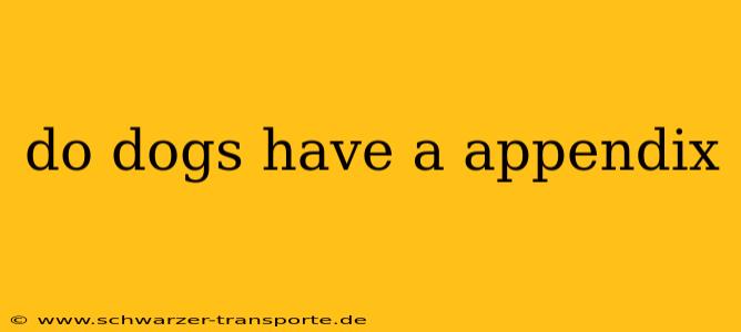do dogs have a appendix