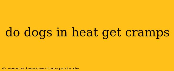 do dogs in heat get cramps