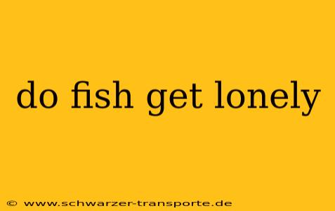 do fish get lonely