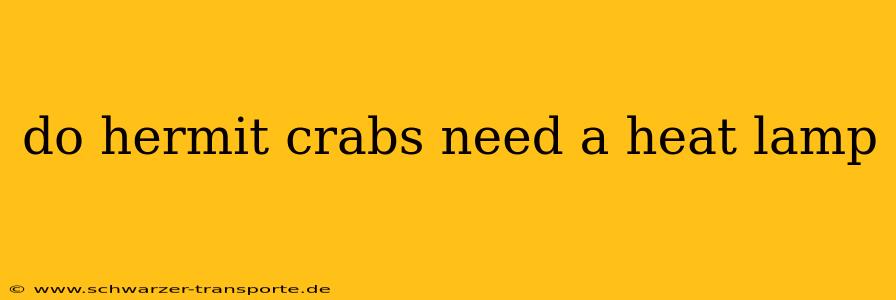 do hermit crabs need a heat lamp