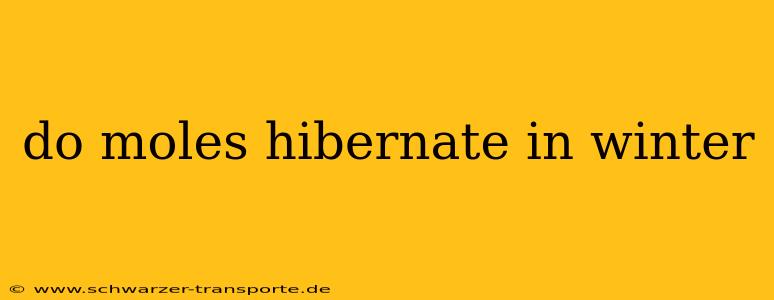 do moles hibernate in winter