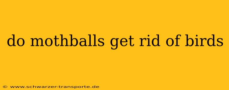 do mothballs get rid of birds