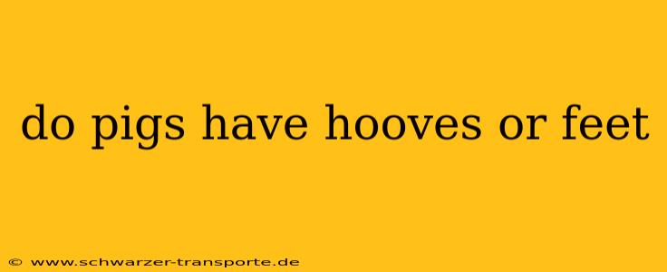 do pigs have hooves or feet