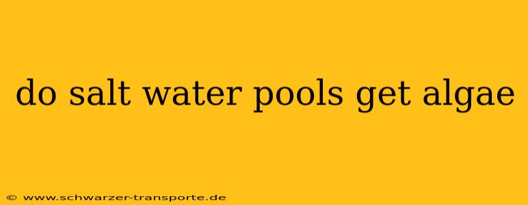 do salt water pools get algae