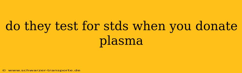do they test for stds when you donate plasma