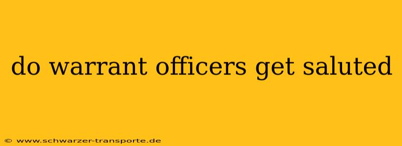 do warrant officers get saluted