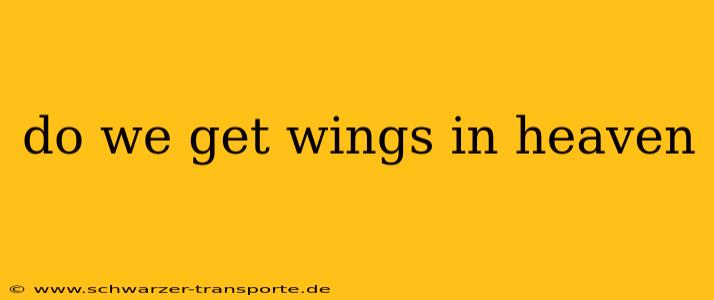 do we get wings in heaven