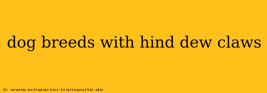 dog breeds with hind dew claws