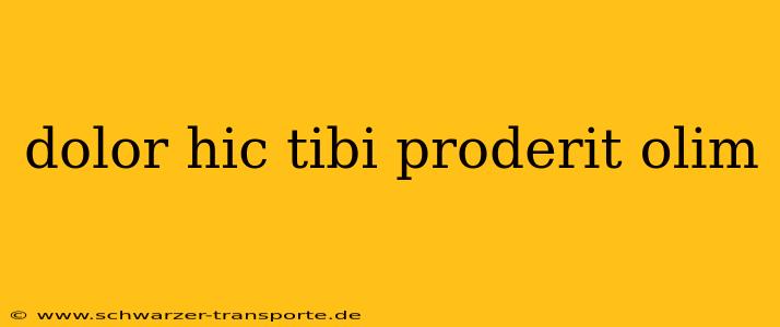 dolor hic tibi proderit olim