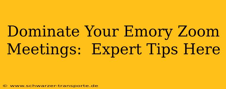Dominate Your Emory Zoom Meetings:  Expert Tips Here