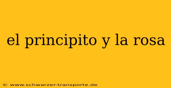 el principito y la rosa