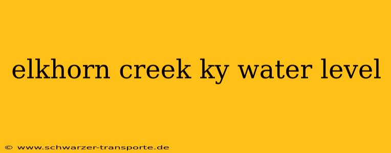elkhorn creek ky water level