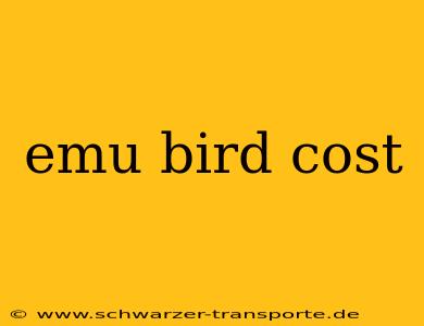 emu bird cost