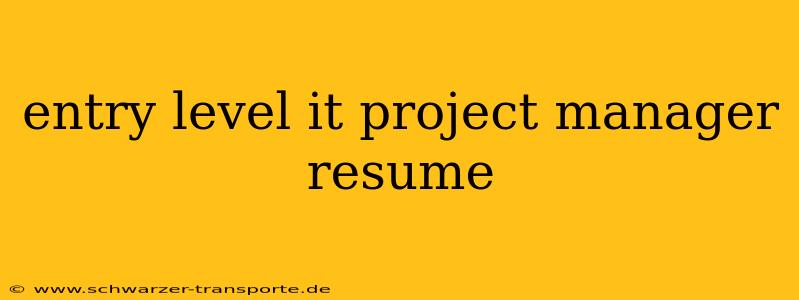 entry level it project manager resume