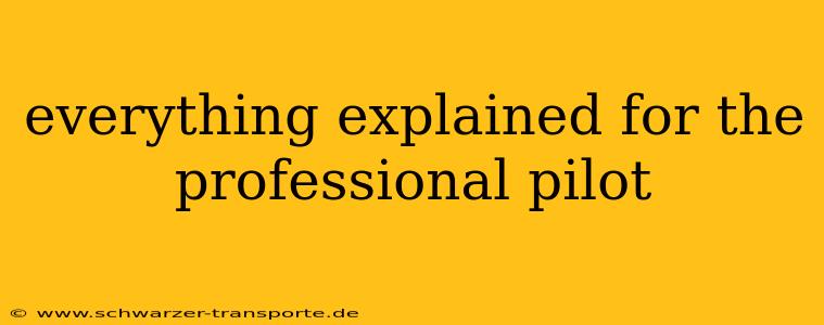 everything explained for the professional pilot
