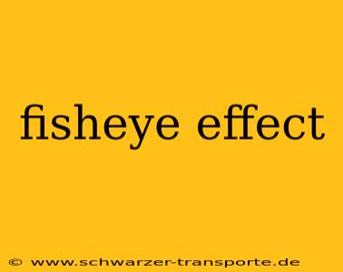 fisheye effect