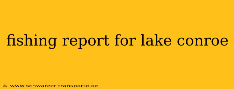 fishing report for lake conroe