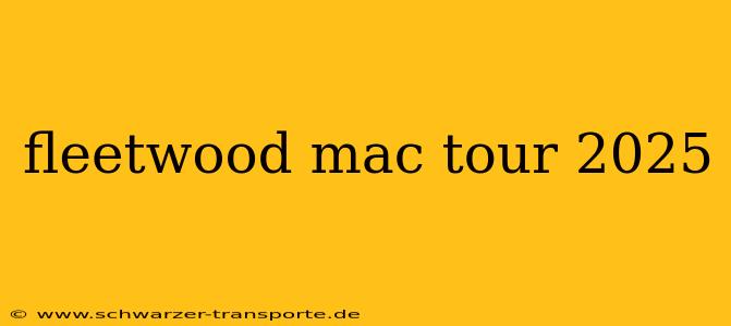 fleetwood mac tour 2025