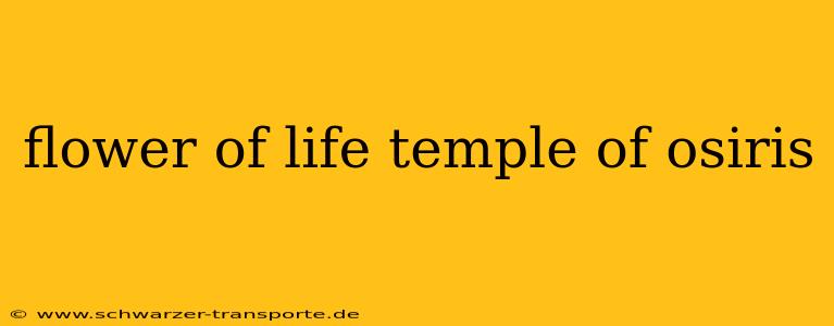 flower of life temple of osiris