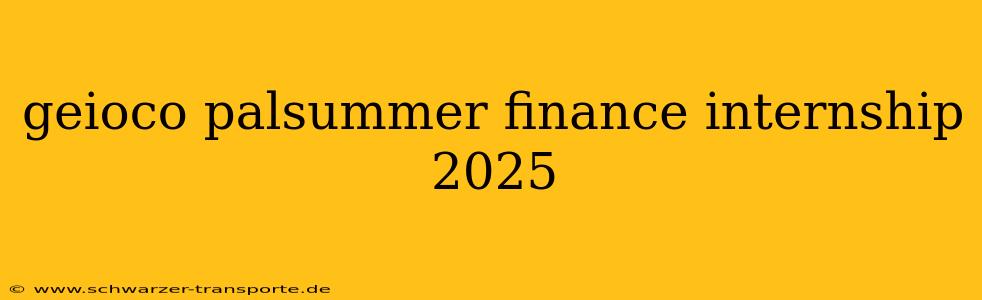 geioco palsummer finance internship 2025